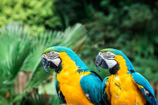 bruno-martins-442283-unsplash.jpg