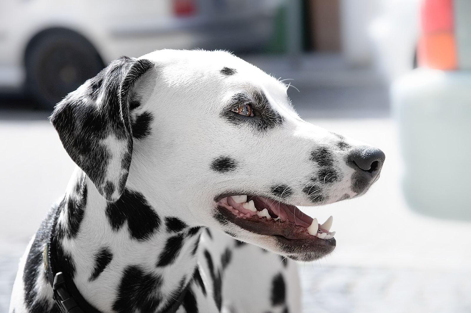 pexels-photo-101634.jpg